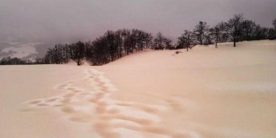 Fenómeno climático: Nieve amarilla y lluvia roja en el sur de Rusia y Ucrania