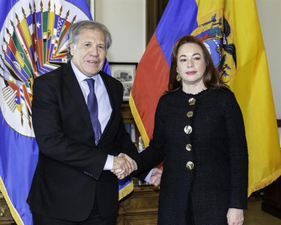 Colombia y Ecuador piden ante la OEA apoyo internacional contra narcotráfico