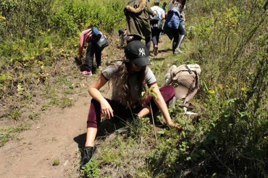 Día de la Tierra: Ecuador reforesta una reserva geobotánica de los Andes
