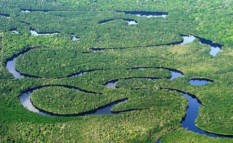 Países amazónicos definen cooperación para desarrollar el bioma regional
