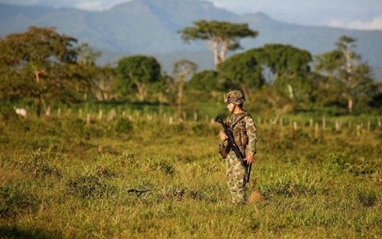 Mueren 16 disidentes de FARC en combates con el ejército colombiano