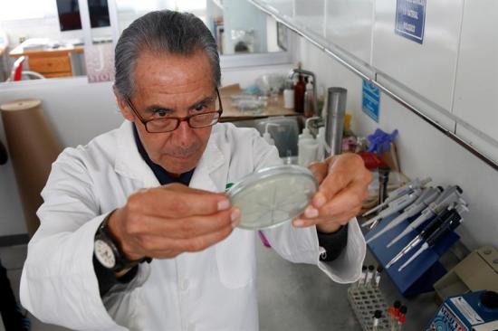 Mexicano crea antibiótico con piel de rana para curar infecciones en vacas