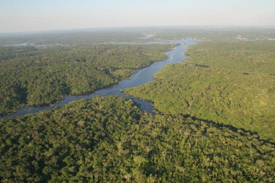 Descubren un ''cementerio'' indígena con 500 años en el corazón de la Amazonía brasileña
