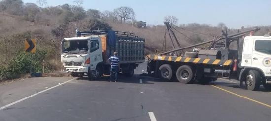 Camión que transportaba ganado se accidenta en la vía Jipijapa-Paján