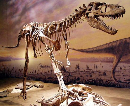 Millones de años después de su extinción, persiste misterio sobre dinosaurios