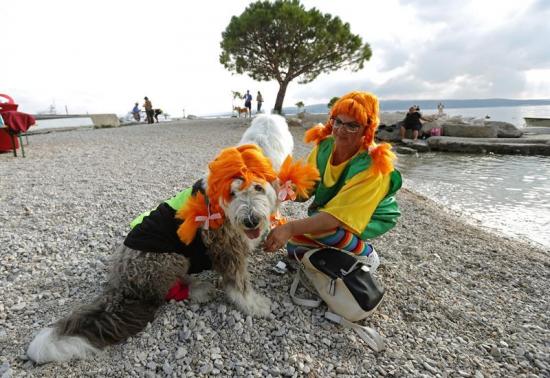 Localidad croata se promociona como destino para turistas con perros