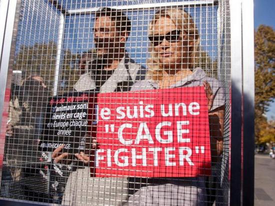 Pamela Anderson en contra de la cría de animales en jaulas