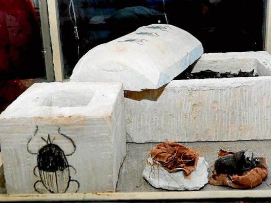 Descubren decenas de momias de gato y  animales en El Cairo