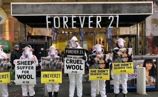 PETA acusa en una protesta a Forever 21 de usar lana de ovejas maltratadas