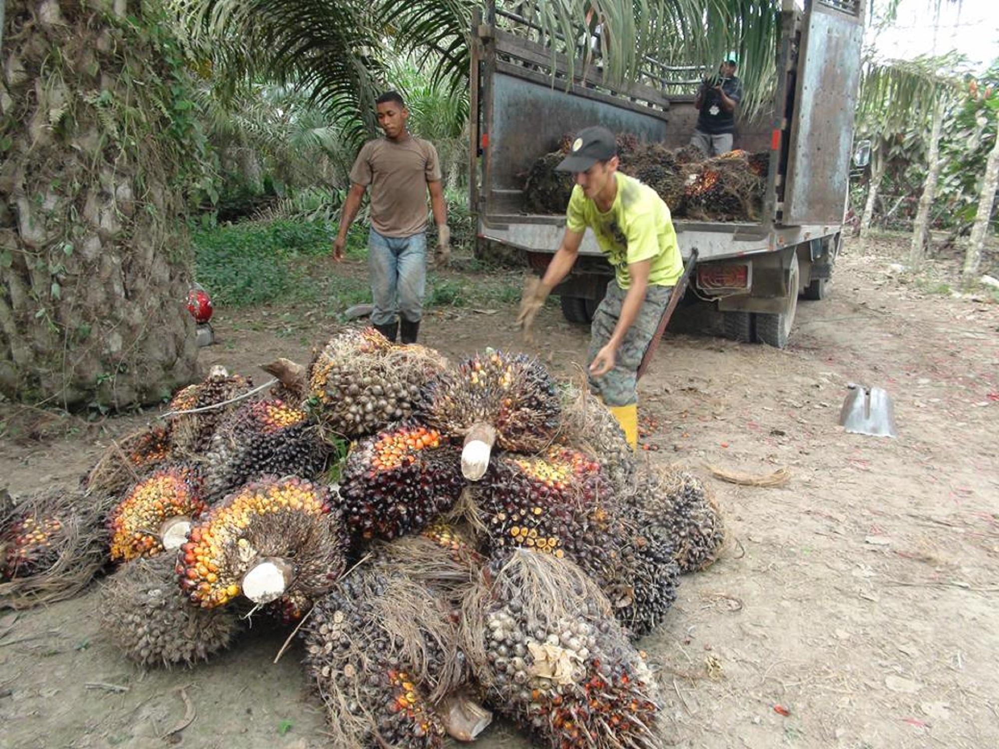 36 Millones En Agricultura Diario Centro