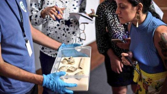 Museo Nacional de Río de Janeiro ha rescatado unas 1.500 piezas tras incendio