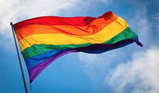 Grupos LGBT piden políticas contra discriminación en día de derechos humanos