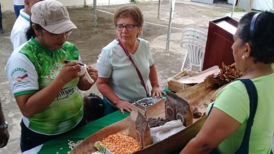 Realizan intercambios de semillas en San Vicente