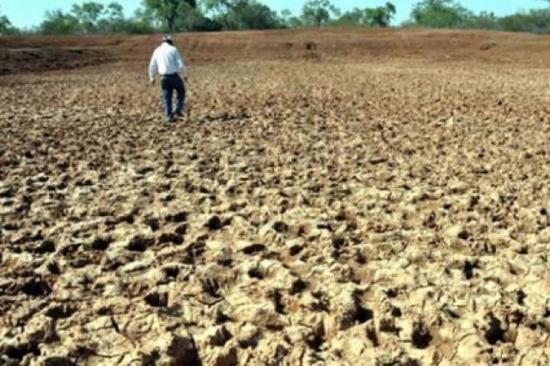 La sequía y las deudas ahogan a los agricultores bolivianos