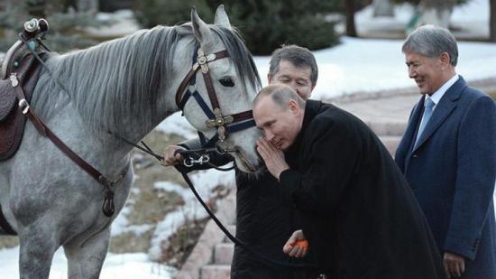 Presidente de Kirguistán regala a Vladímir Putin un perro y un caballo