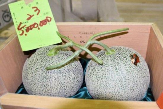 Subastados por un precio récord de 45 mil dólares dos melones en Japón