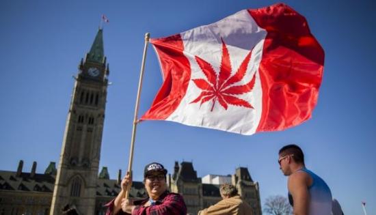 Canadá recauda 139 millones de dólares con la legalización de la marihuana