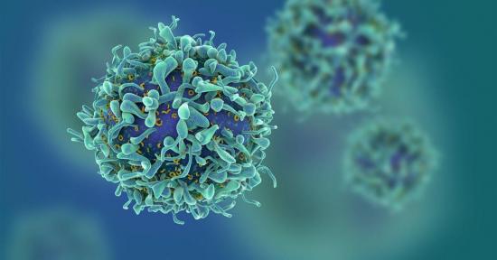 Un tratamiento elimina el VIH del genoma de animales vivos
