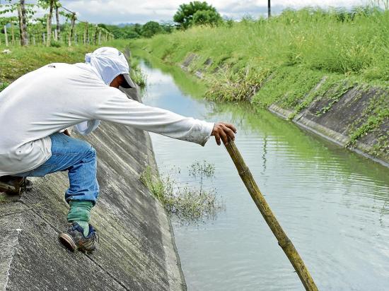 Agricultores piden que se dote de suficiente agua a los canales de riego en Portoviejo