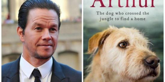 Mark Wahlberg será parte de la película del perro ecuatoriano Arthur