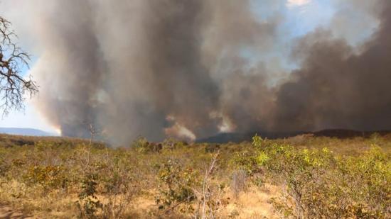 Incendio forestal devasta 1.000 hectáreas de parque nacional en Brasil