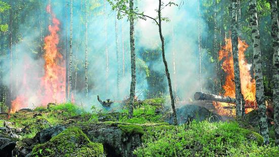 La Amazonía arde en tiempo récord