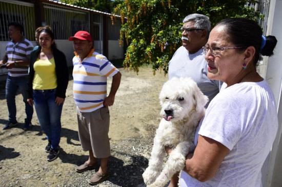 10 perros han sido envenenados en un barrio de Portoviejo