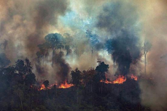 Cerca de mil militares y agentes brasileños combaten incendios en parque natural amazónico