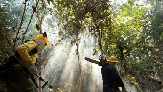 Brasil prohíbe por 60 días el uso de fuego para preparar siembra en Amazonía