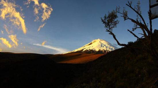 Localidad de los Andes ecuatorianos recibe a huésped de más de 700 años