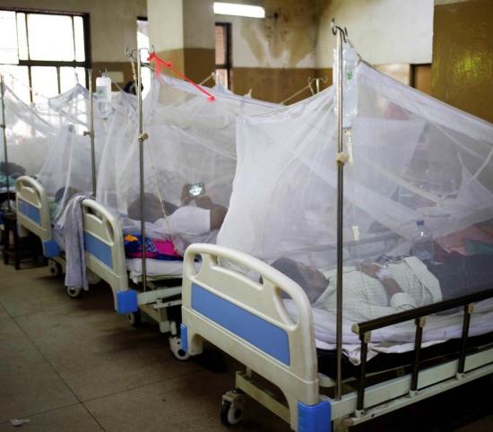 Sube a 17 la cifra de muertos por dengue en República Dominicana