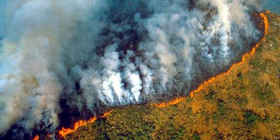 Deforestación en Amazonía brasileña alcanza mayor nivel en más de una década