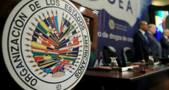 Veintiséis países piden en la OEA elecciones 'urgentes' en Bolivia