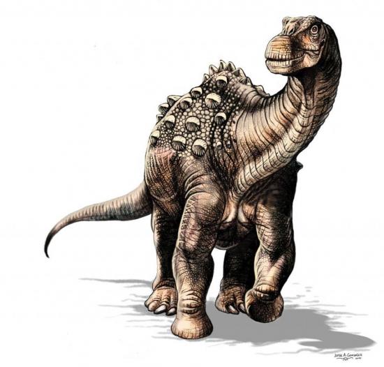 Encuentran restos del primer dinosaurio en Ecuador