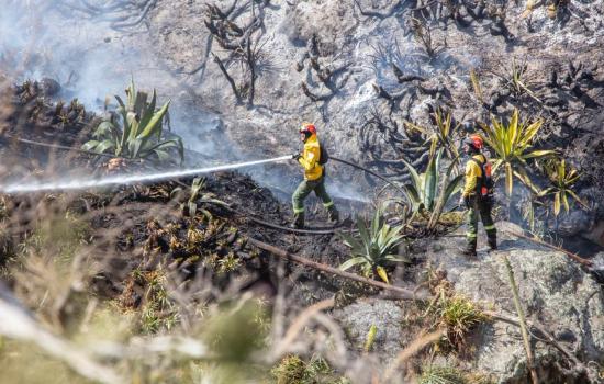 Sofocan incendio en cerro del norte de Quito después de más de 70 horas