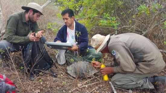 Expedición en volcán en Galápagos busca descendientes de especies extintas