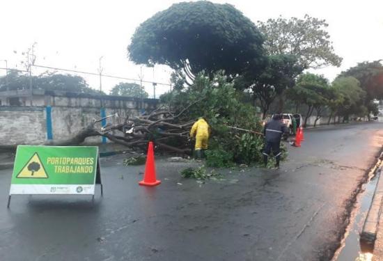El Municipio de Portoviejo trabaja en problemas presentados por la lluvias