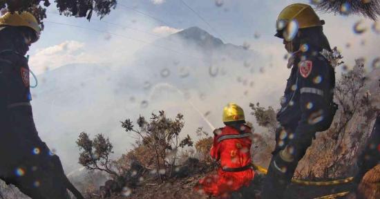 Incendios causados por criminales causan gran daño ecológico en Colombia