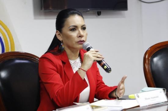 Presidenta del CNE solicitará a la Corte Constitucional se analice aplazamiento de las Elecciones Generales de 2021