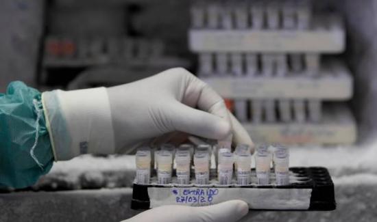 EEUU aprueba test de coronavirus que ofrece resultados en menos de 15 minutos