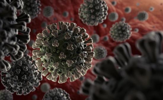 Universidad de Quito concluye secuencia de genoma de cepa de coronavirus