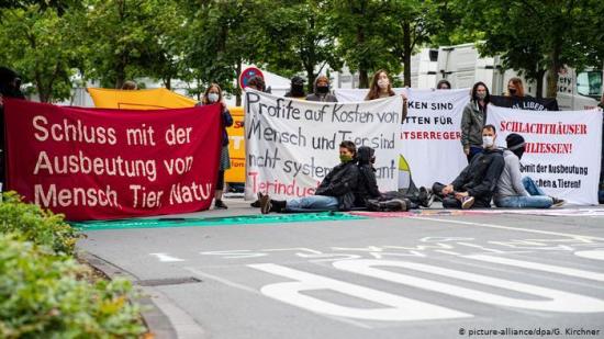 Activistas ocupan en Alemania matadero cerrado por brote de coronavirus