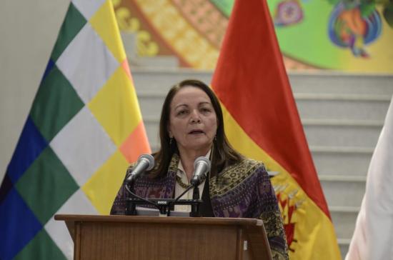 Ministra de Salud de Bolivia es el tercer caso en el Ejecutivo con COVID-19