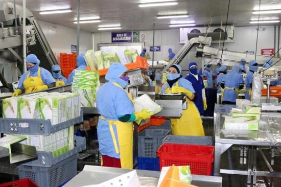 Ecuador garantizará a China toda información y revisión necesaria del camarón