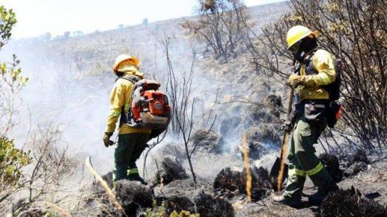 Bomberos de Quito intentan sofocar incendio en reserva ecológica Yanacocha