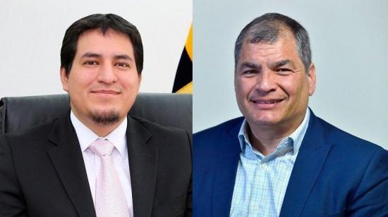 Correa solo caerá del binomio electoral cuando sea descalificado, dice Arauz