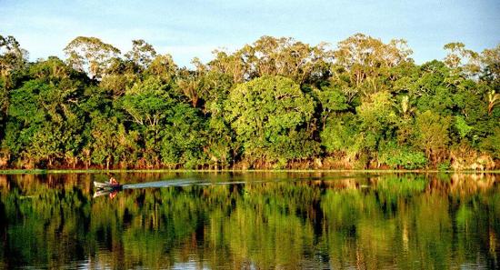 Ecuador recibe 18,5 millones de dólares para cuidar y proteger sus bosques