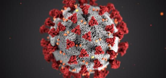 Ecuador llega a los 151.659 casos de coronavirus