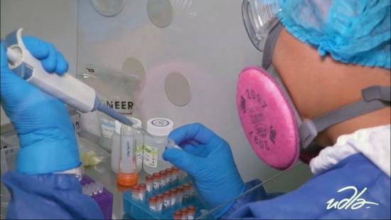 Lanzan al mercado el primer kit de diagnóstico PCR hecho en Ecuador