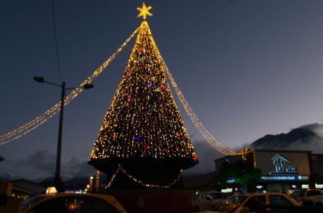 Municipio de Portoviejo destina $116 mil para iluminar los parques por Navidad